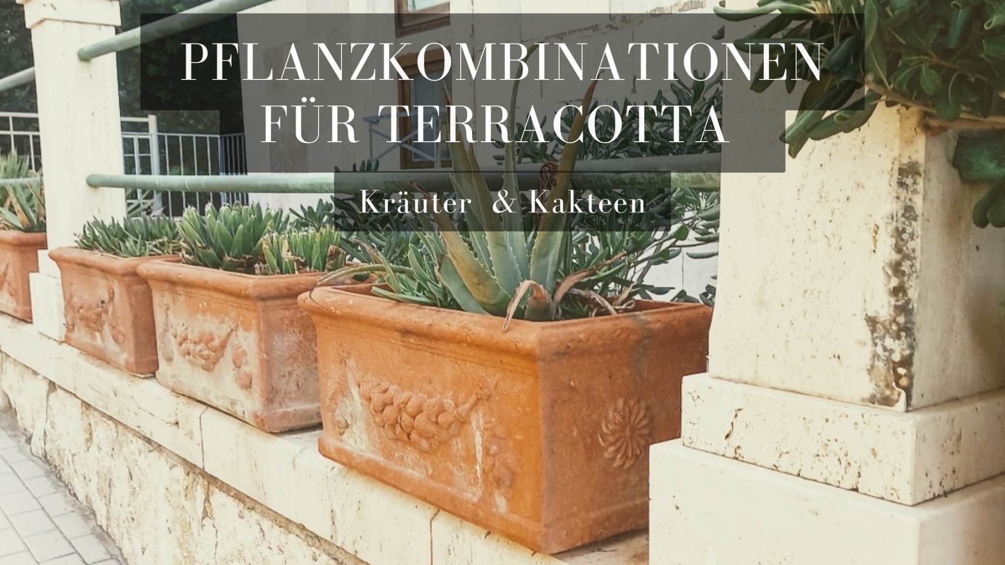 Anzeige: Die perfekte Pflanz-Kombination für Terracotta – Zwei Beispiele