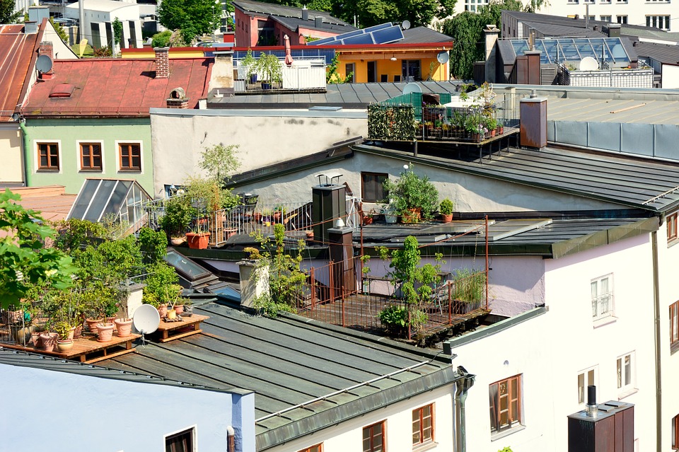 Dachgarten mit Terracotta-Gefäßen