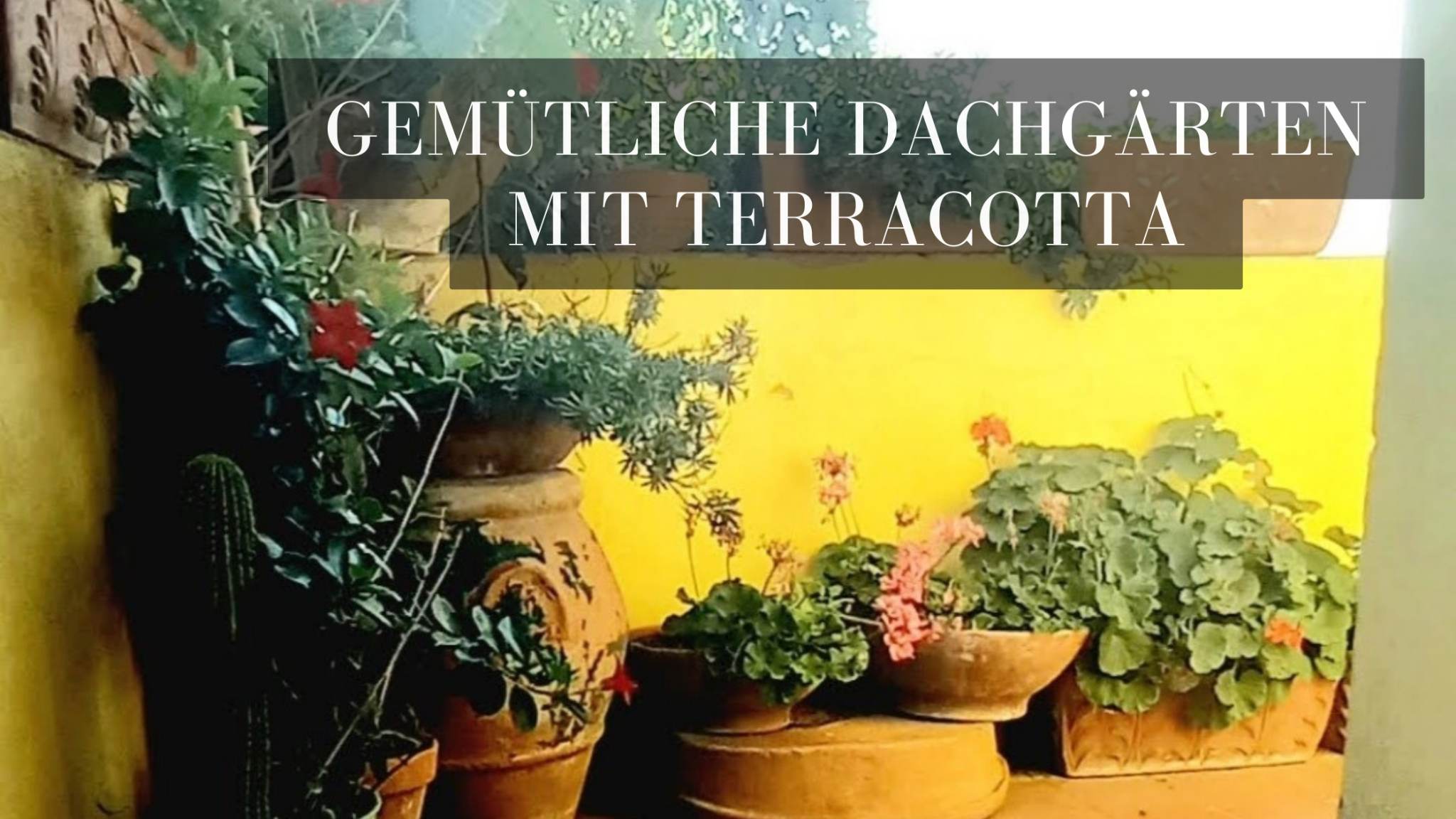 Dachgarten mit blühender Terracotta